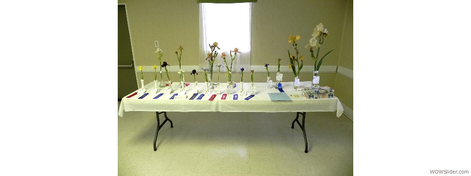 Flower Show Table 1